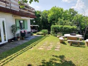 Panoráma Kuckó